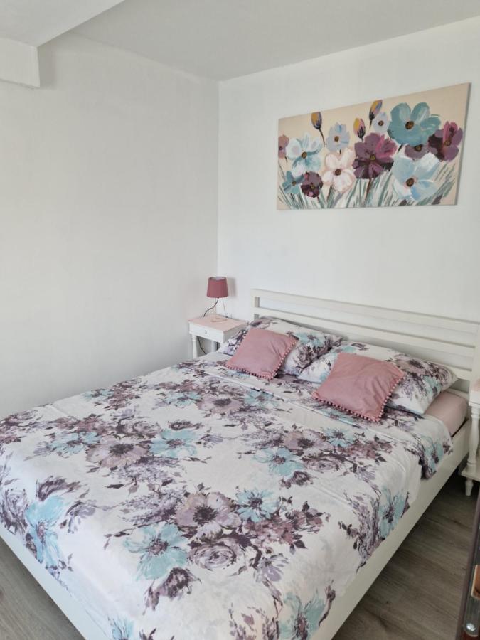 Apartmani Sidro Senj Senj  Bagian luar foto